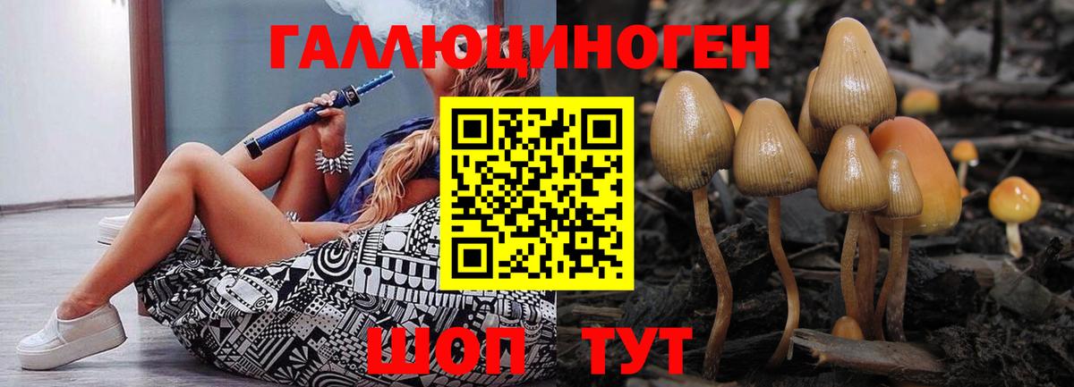 Галлюциногенные грибы Cubensis Великий Устюг